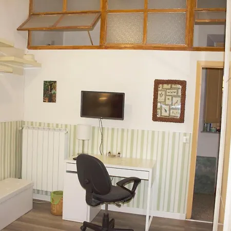 Bloomy Apartment